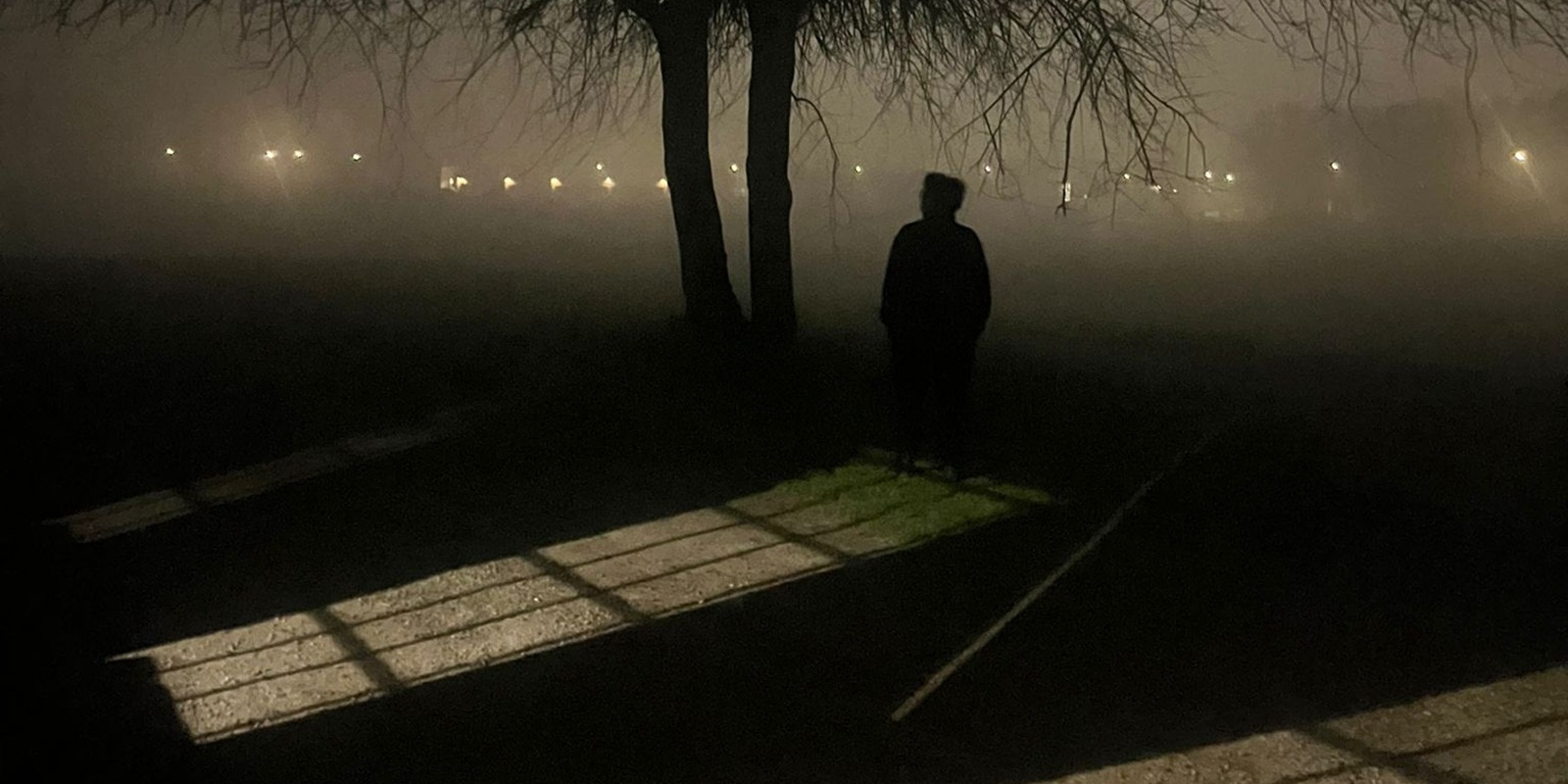 Noir